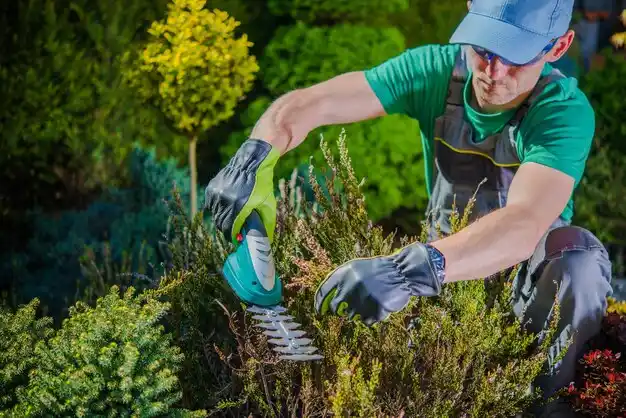 landscaping services Strykersville